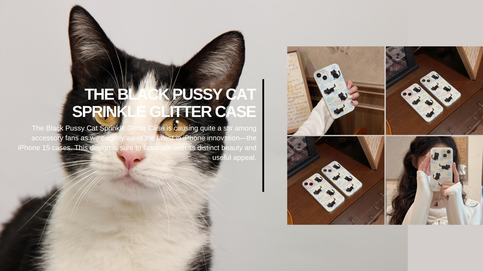 The Black Pussy Cat Sprinkle Glitter Case